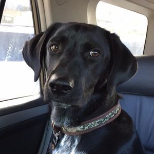 Meet your Posher, Garrett